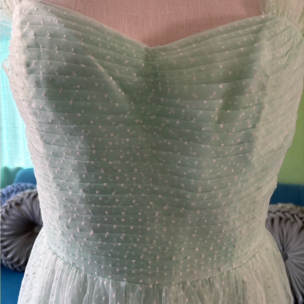 Vintage-Style Mint Green Midi Dress with Sheer Polka Dot Overlay - Picture 9 of 13